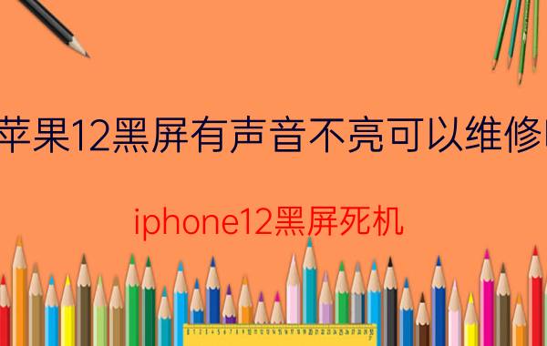 苹果12黑屏有声音不亮可以维修吗 iphone12黑屏死机？